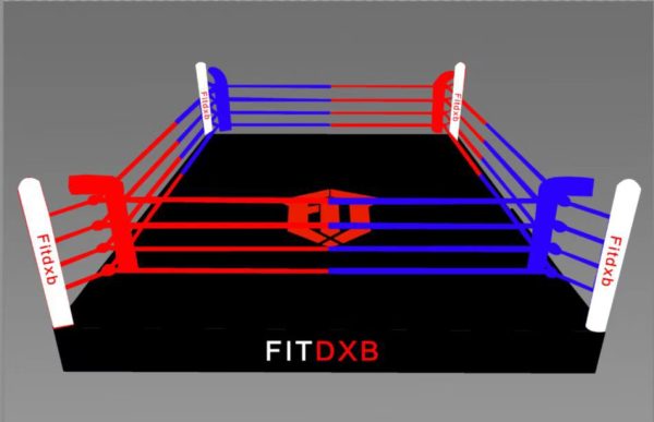 Boxing Ring - Image 2