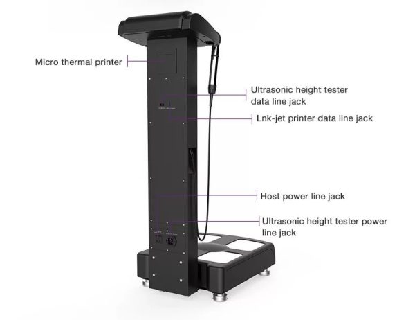 Body composition analysis - Image 2